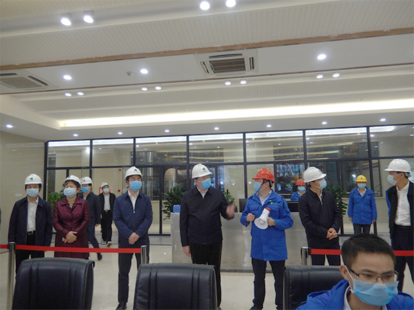 广西壮族自治区人大常委会副主任张秀隆视察J9.COM博白项目